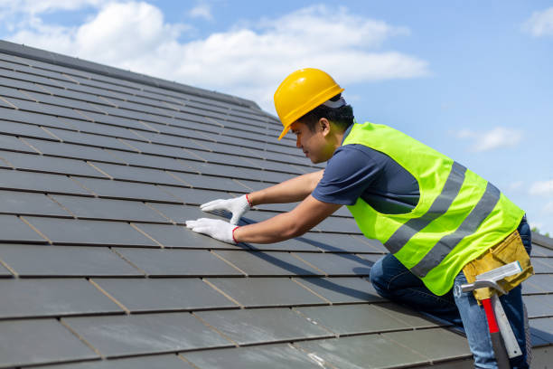 Best Roof Moss and Algae Removal  in Novato, CA