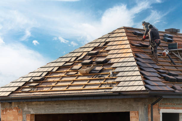 Best Roof Leak Repair  in Novato, CA