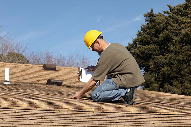 Best Roof Maintenance and Cleaning  in Novato, CA